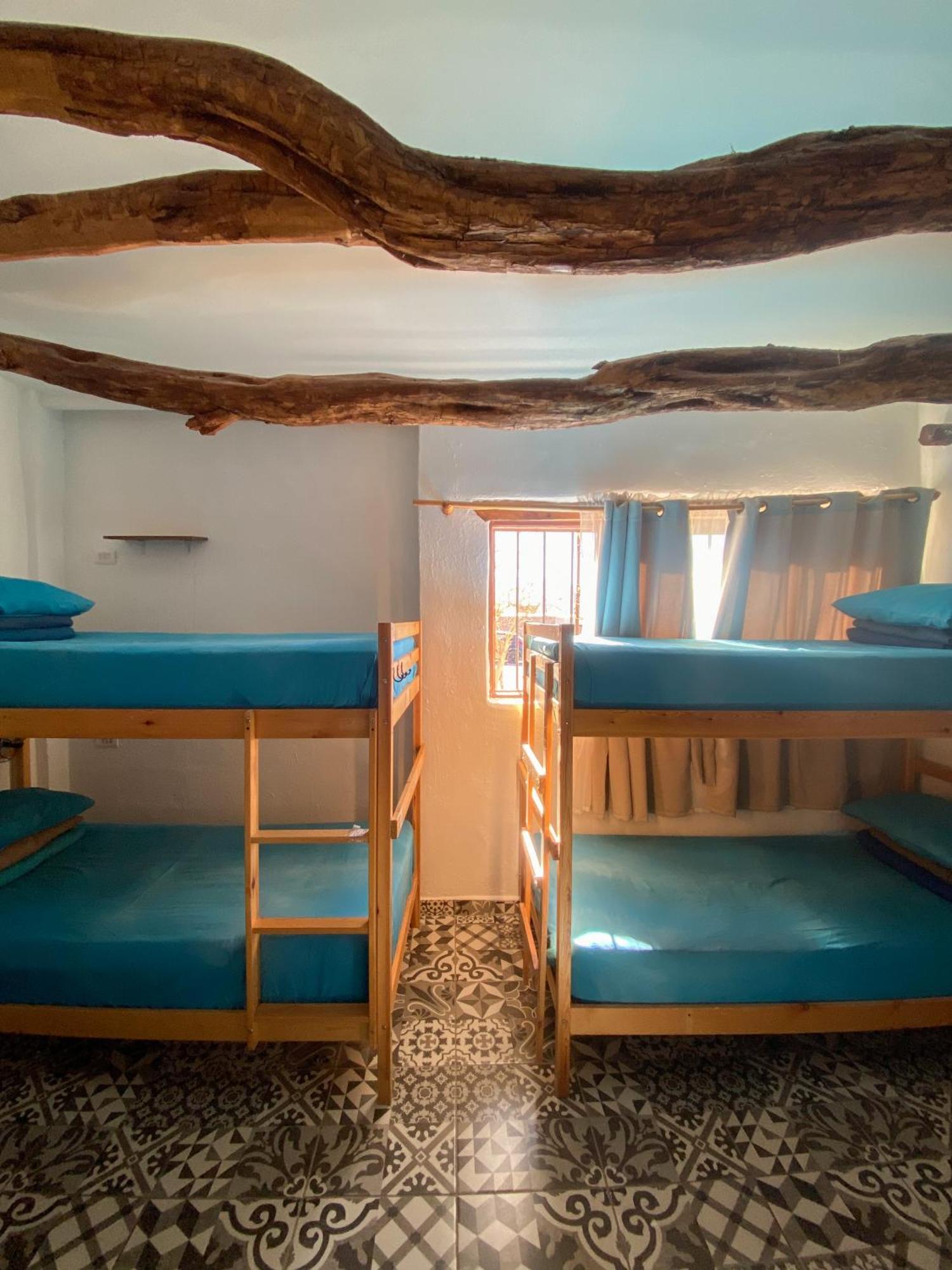 Rey Lagarto Hostel ซานเปโดร เด อาตากามา ภายนอก รูปภาพ